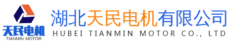 湖北天民电机有限公司